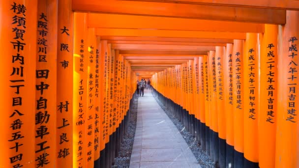 Torii poorten van Fushimi Inari schrijn — Stockvideo