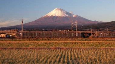  Shinkansen hızlı tren pirinç tarlaları ile geçen 