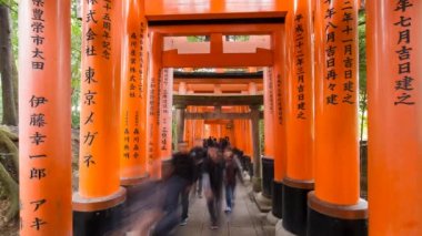 Torii Gates Fushimi Inari Tapınak