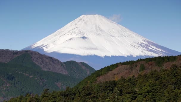 日本本州富士山 — 图库视频影像