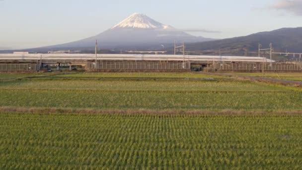 Trenes de bala pasando por campos de arroz — Vídeo de stock