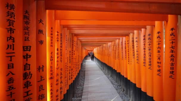 Τορίι πύλες του Φουσίμι Inari παρεκκλήσι — Αρχείο Βίντεο