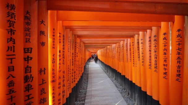 Cancelli di Torii di Sacrario di Fushimi Inari — Video Stock