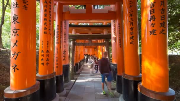 Cancelli di Torii di Sacrario di Fushimi Inari — Video Stock