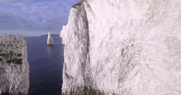 Chalk cliffs near Old Harry Rocks — Stock Video