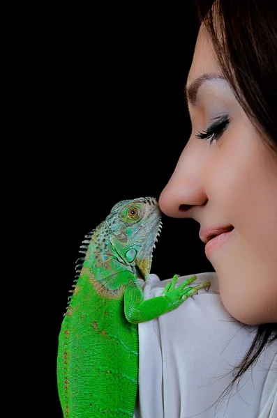 Şube aynaya yeşil iguana