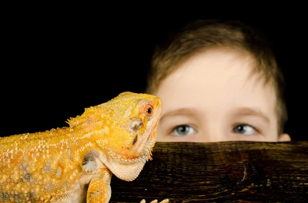 küçük çocuk ve dragon - en iyi arkadaşım