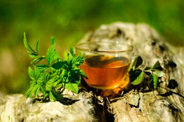 ormandaki fincan yeşil çay   