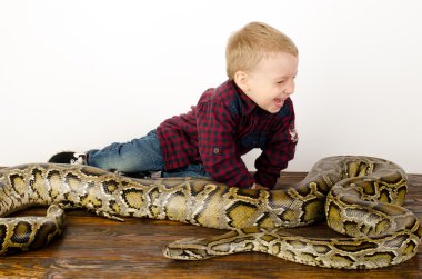 little boy playing with huge snake