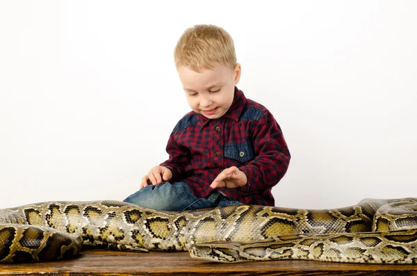 Petit Garçon Jouant Avec Serpent Géant — Photo
