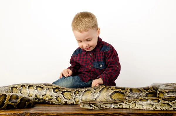 Petit Garçon Jouant Avec Serpent Géant — Photo