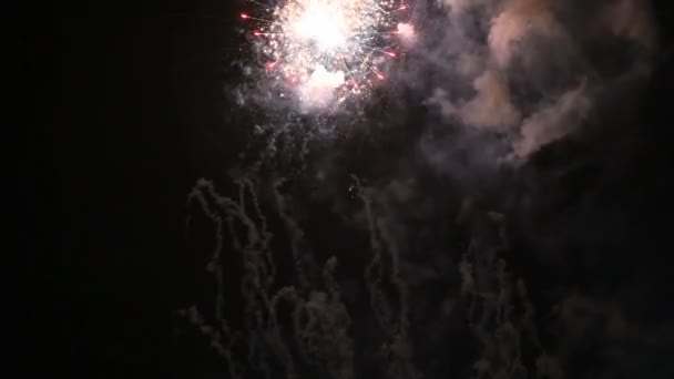 4th of July fireworks display — Stock Video
