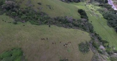 yeşil bölgesinde karayolu