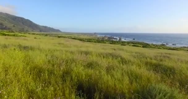 Kalifornie pobřeží podél Big Sur — Stock video