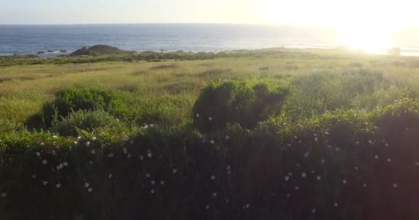 California Coastline lungo il Big Sur — Video Stock