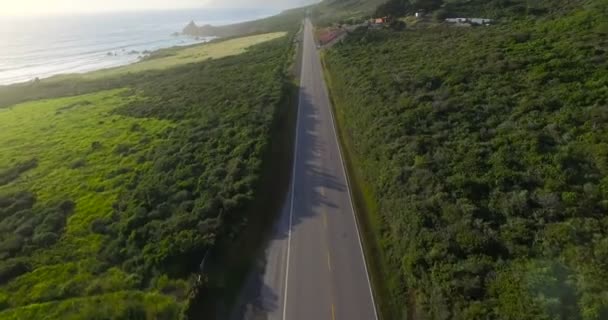 Big Sur boyunca yolda otomobil sürücüsü — Stok video