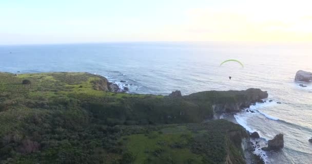 Man paragliding above forest and ocean — Stock Video