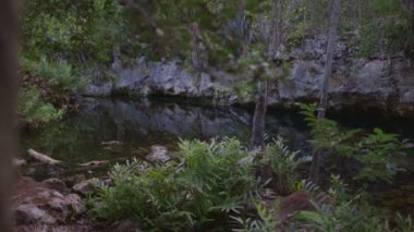 ormandaki küçük bir göl 