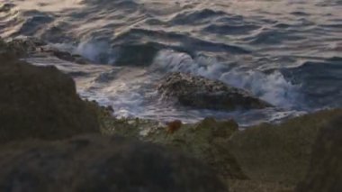 Dalgalar kıyıya kopma