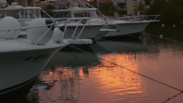 Yachten auf dem Dock bei Sonnenuntergang — Stockvideo