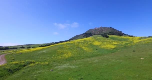 Hermosa zona de montaña verde — Vídeo de stock