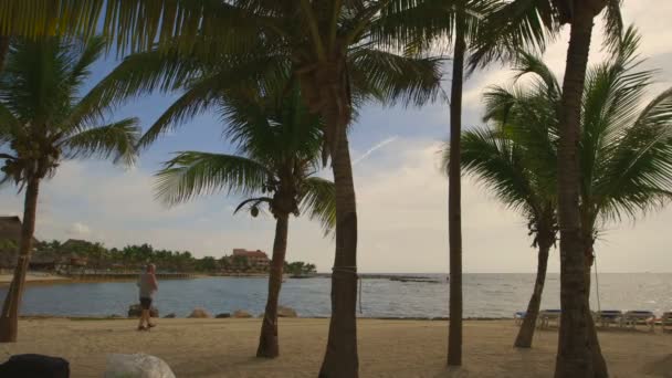 Toeristische op tropisch strand — Stockvideo