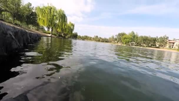 Lago no parque no verão dia ensolarado — Vídeo de Stock