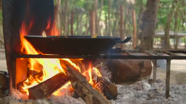 Friture de snappers rouges — Video