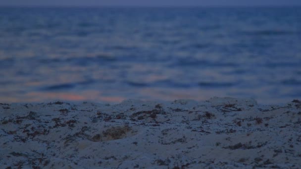 Strand und Meer bei Sonnenuntergang — Stockvideo