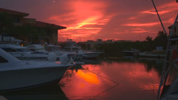 Yachten auf dem Dock bei Sonnenuntergang — Stockvideo