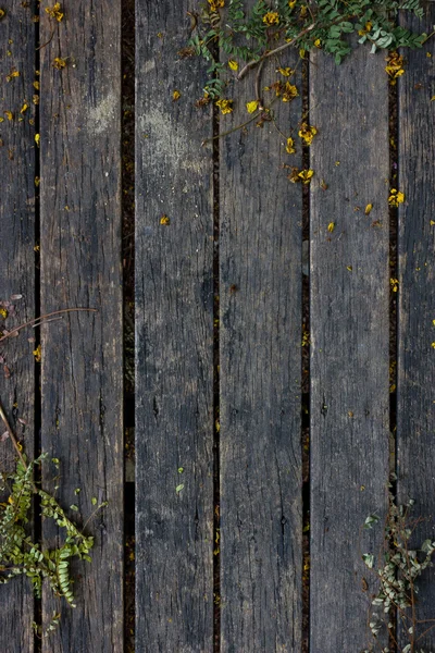 Holzplanke Hintergrund — Stockfoto