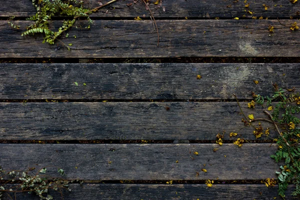 Placa de madeira natural — Fotografia de Stock