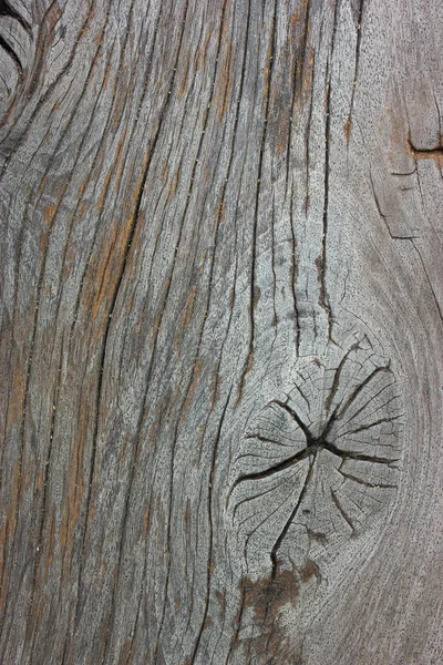 Gnarl van oude houtstructuur — Stockfoto