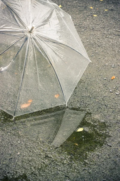 Bílý deštník po dešti — Stock fotografie