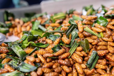 Kızarmış Bambu Tırtılları, Tayland 'da sokak yemeklerinde, egzotik yerel yemeklerde satılıyor.