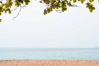 Çerçevesi üzerinde ağaç yaprakları olan deniz kıyısı sahili arka planı, yazlık fotokopi alanı tasarımı için kıyı şeridi