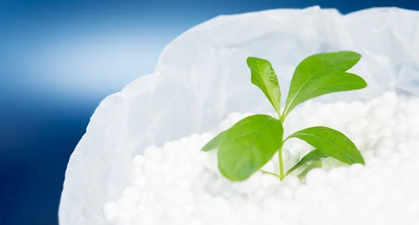 Planta Folhas Verdes Crescendo Grânulo Espuma Poliestireno Saco Plástico Com — Fotografia de Stock