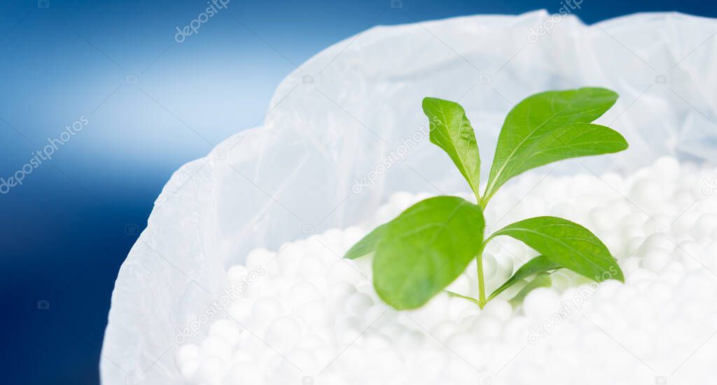 Green leaves plant growing on polystyrene foam bead in plastic bag with vibrant blue background with copy space, Environment friendly concept