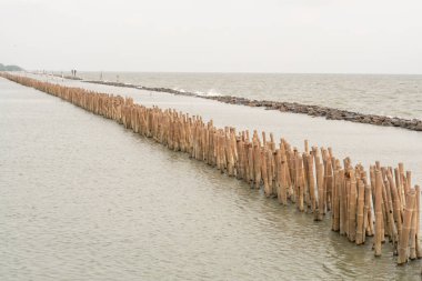 Bangkuntien Mangrove Sahili 'nde, Tayland' ın deniz kıyısındaki dalgalı bambu direği ve taş sahil koruması.