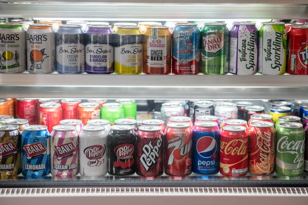 Bangkok Thailand Jan 2018 各种品牌的饮料陈列在冷冻柜上销售 铝罐中的软饮料 — 图库照片