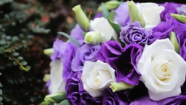 Dos anillos de boda en un arbusto verde — Vídeo de stock