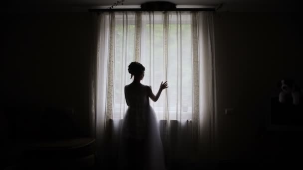 Silhouette of woman at the window — Stock Video