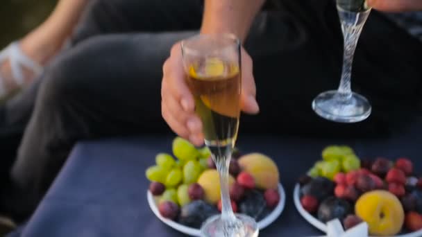 Влюбленные пьют шампанское на озере — стоковое видео