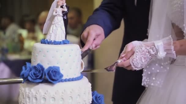 Разрезание свадебного торта — стоковое видео