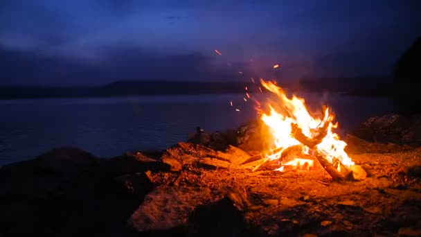 Läger eld på en sjö i natt — Stockvideo