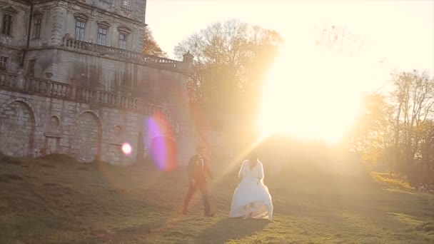 Nice couple has a good time at the castle and park — Stock Video