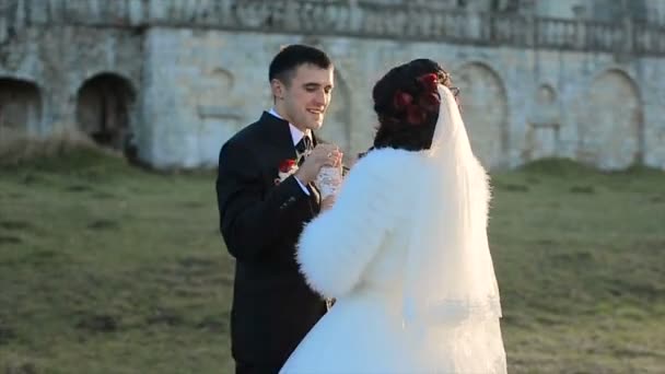 Bom casal tem um bom tempo no castelo e parque — Vídeo de Stock