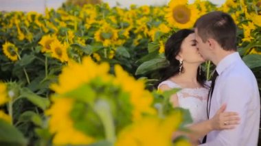 Ayçiçeği tarafından çevrili aşık Çift