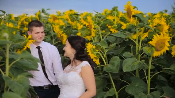 Влюблённая пара в окружении подсолнухов — стоковое видео