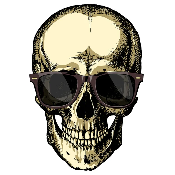 Un cráneo humano con gafas sobre un fondo en blanco — Archivo Imágenes Vectoriales